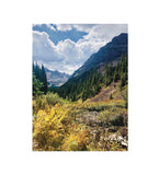 ASPEN: Set of 5 Cards