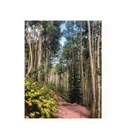 ASPEN: Set of 5 Cards